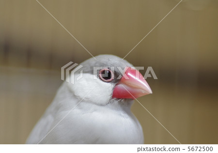 Female female female Female female female 5672500