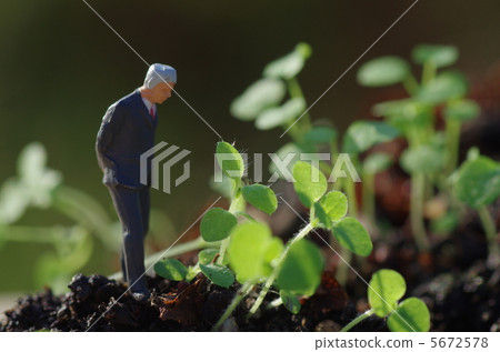 Premonition of growth 5672578