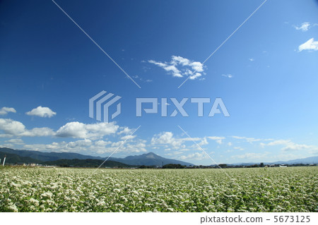 伊吹山 伊吹山 5673125