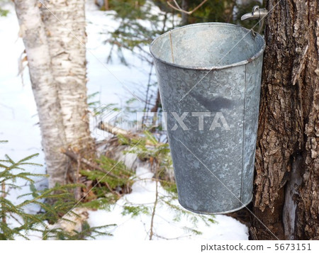 Making maple syrup Making maple syrup 5673151