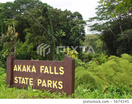 akaka falls, arboreal, scenic spots 5674245