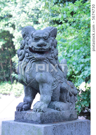 Guardian dog 5674730