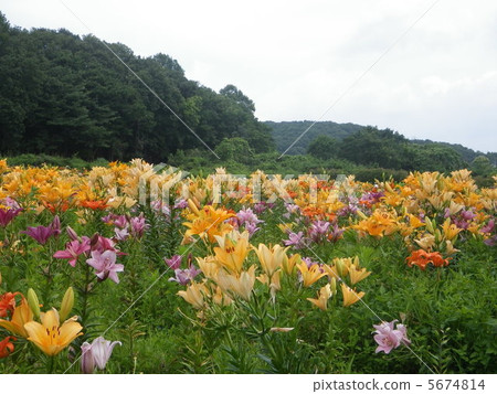 Mountain Yuri no Sato Mountain Yuri no Sato 5674814