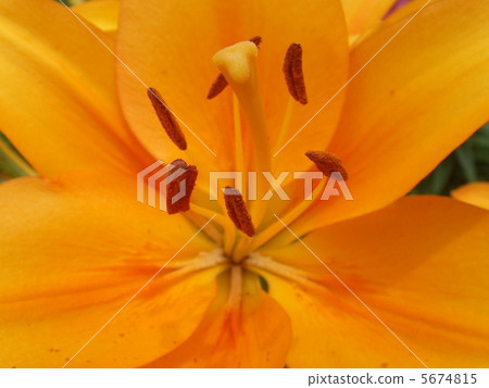 Mountain Yuri no Sato Mountain Yuri no Sato 5674815