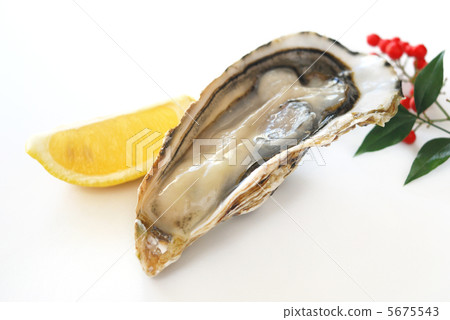 牡蠣 5675543