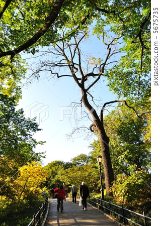 Central Park 5675735