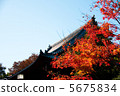 秋天的樹葉 5675834