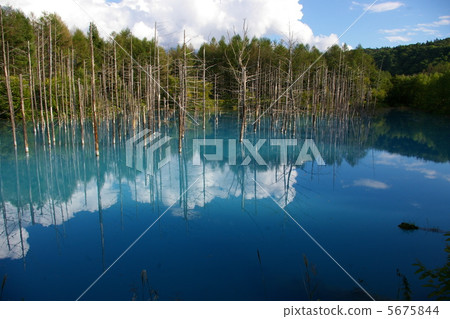 Blue pond Shirokane hot spring (platinum blue pond) Hokkaido Bieicho 5675844