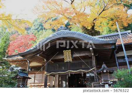 Shrine of the main shrine 5676322