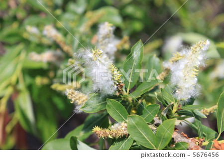 Yu Yu(Ryujo) Yu Yu(Ryujo) 5676456