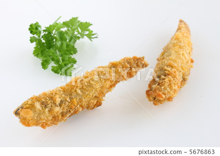 飛沙丁魚 5676863