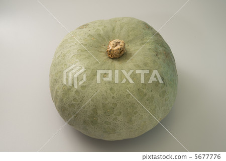 南瓜 南瓜 5677776