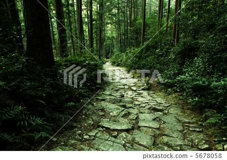 熊野古道 熊野古道 5678058