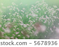 宇宙 5678936