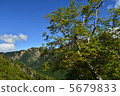 Scenery from Yatsugatake in summer 5679833