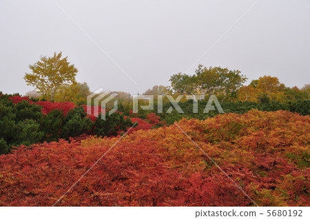 2012年秋季的Norikura 2012年秋季的Norikura 5680192