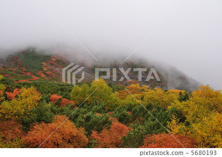 2012 Norikura in Fall 5680193