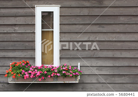 White window 5680441