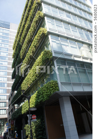 Eco conservation wall surface greening 5680823