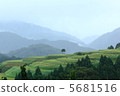 水稻梯田 5681516