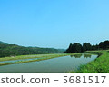 水稻梯田 5681517