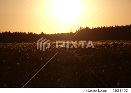 在釧路沼澤設置的秋天日落 5681602