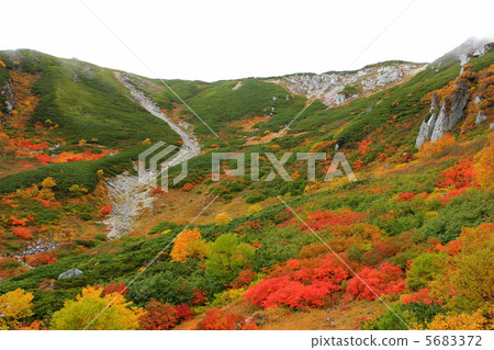 西垣秋葉 5683372