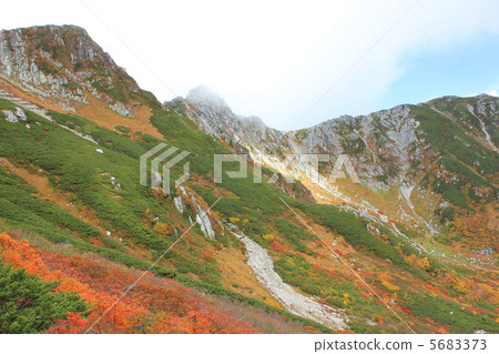 Senzujiki捲毛在秋天顏色邊緣 5683373