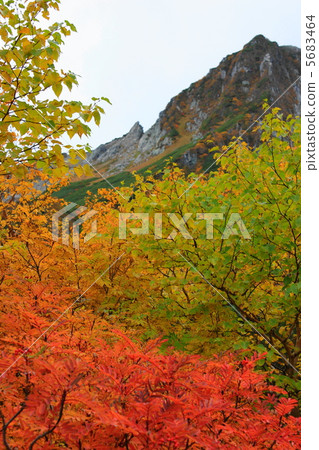 Senjogushiki of Kinshu 5683464