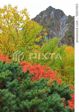 Senjogushiki of Kinshu 5683465