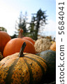 Colorful pumpkin 5684041