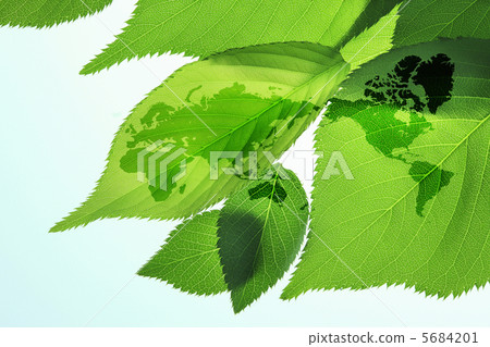 新鮮的綠色和世界地圖 5684201