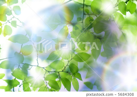 World map and fresh green 5684308