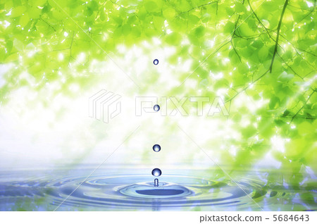 Fresh green and water drops 5684643