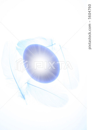 Eggs and feathers 5684760