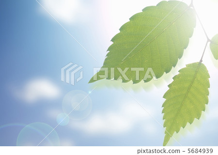 Eco image Eco image 5684939