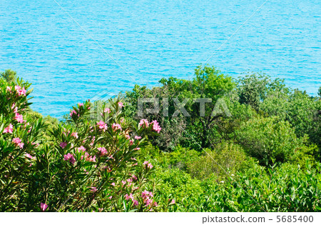 beautiful landscape -sea and sky in Vorontsov Palace, Crimea, Ukraine 5685400