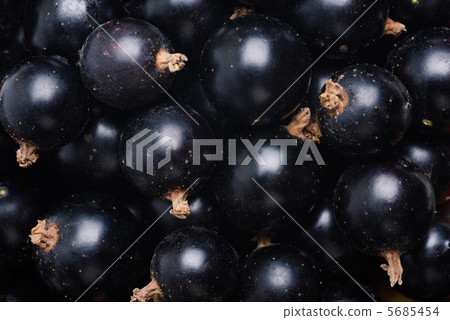 black currant as fine food Textured background 5685454
