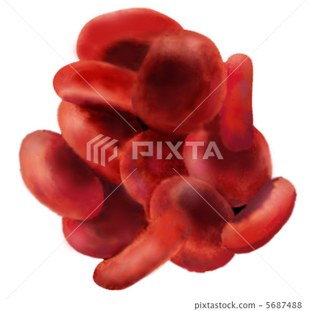 紅血細胞 5687488