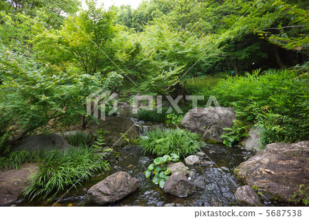 天鵝花園 5687538