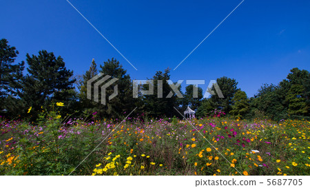 藍色帽子 5687705