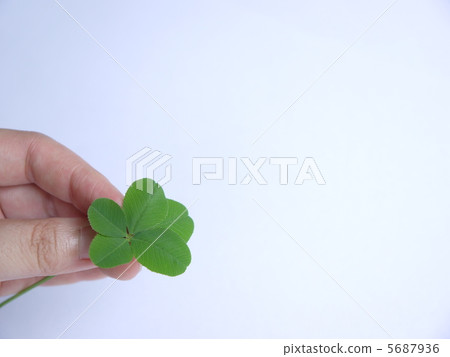 Clover Clover 5687936