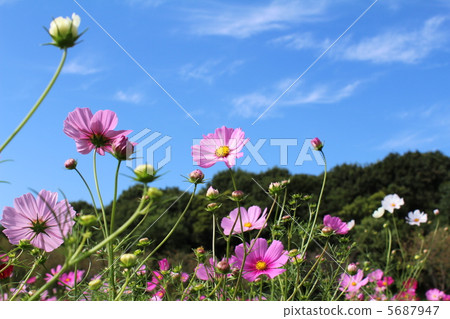 宇宙和藍天 宇宙和藍天 5687947