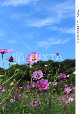 宇宙和藍天 宇宙和藍天 5687948