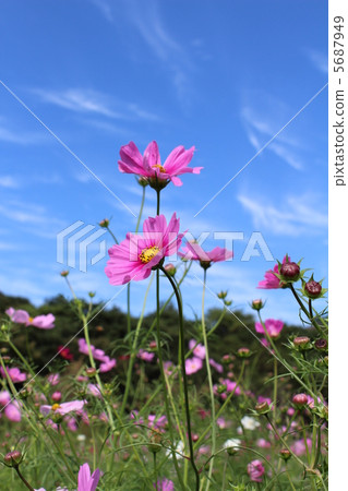 宇宙和藍天 5687949