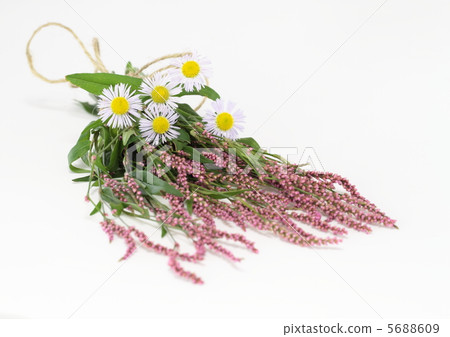 Acuma和Himejoon的花束 Acuma和Himejoon的花束 5688609