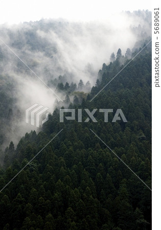 雨後的山林 雨後的山林 5689061