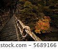 Okuyaya Kazura Bridge 5689166