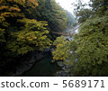 Iya Kazura Bridge 5689171