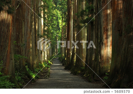 Togakushi神社的方法 5689370